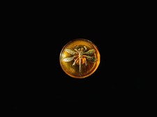 18mm Czech Dragonfly Button Amber Gold AB Backed With Metal Shank picture
