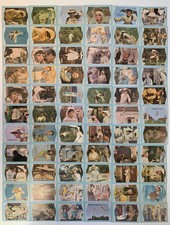 The Flying Nun Vintage Trading Card set #1-#66 Sally Field Donruss 1967 picture