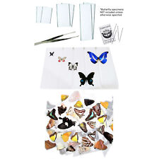 BicBugs pinning kit - kit + unmounted moths/butterflies picture
