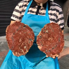 7.06LB 2pcs Natural Petrified Wood Crystal Fossil Slice Shape Specimen Healing picture