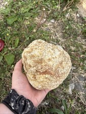 Unbroken 3 Pound Box Of Kentucky Geodes (Qty: 1-8) picture