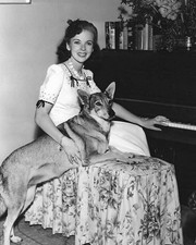 Legendary IDA LUPINO with Pet Dog Photo   (214-P ) picture