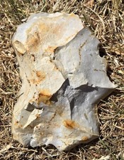 Archaic UK Prehistoric Lower / Middle Palaeolithic Huge Flint Meghafauna Scraper picture