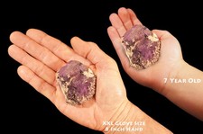 PURPURITE 2 3/4