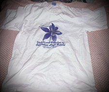 Columbine High School In Memory Tshirt picture