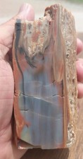 Petrified Wood Holbrook Arizona Rainbow Standing Display Blue Red Yellow Grain  picture