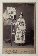1880s Banner Girl ~ Advertising Dress ~Cabinet Card ~ Waverly NY picture