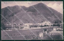Torino Perosa Argentina Genta NECKED POSTCARD QZ0133 picture