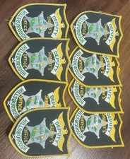 8 Vintage Hillsborough County Florida Sheriff Dept Deputy Office Patch Lot picture