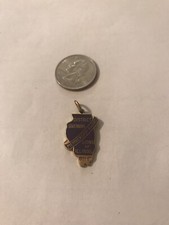 Lions Club International Pin 1966-67 Dist. Membership Award Illinois CHARM MD-1 picture