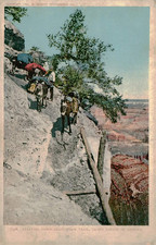 Starting Down Grandview Trail Grand Canyon Arizona 1902 Detroit Photographic Co. picture