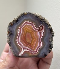 Beautiful Polished Laguna Agate From Mexico picture