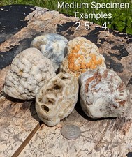 5 lbs Unopened Mixed Geodes - Whole Agate Nodules - Break Your Own - STEM Kit picture
