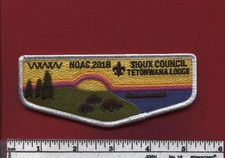 Got at 2018 NOAC: Tetonwana Lodge 105 Flap: Sioux Council - Tough Issue picture