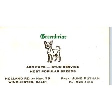 Greenbriar AKC Pups June Putnam Winchester CA Vintage Business Card SD8-B15 picture