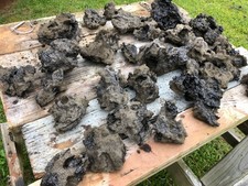 Hawaiian Lava, Volcanic Tephra from the Kilauea Eruption of January 24, 2026 picture