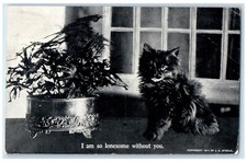 1913 Black Cat I Am So Lonesome Without You DPO 1904 - 1954 Hazel MN Postcard picture