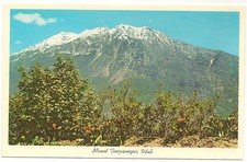 Mt. Timpanogos, Near Provo, Utah Unused/Unposted Vintage c1950's Postcard picture
