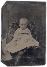 Victorian Baby White Ruffled Gown Hidden Mother Studio 1860-70s Tintype Photo picture