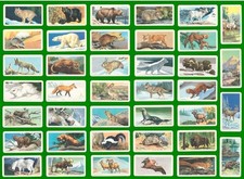 ANIMALS OF NORTH AMERICA BROOKE BOND CANADA 1960 SET OF TRADE CARDS ROLAND BACK picture