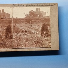 Hampton Court Stereoview C1895 Real Photo London England The Dutch Garden picture