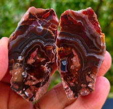 Mirror Polished Red Lace Agate Pair picture