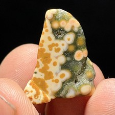 TOP7G Natural Polished Orbicular Ocean Jasper Stone  Madagascar L7453 picture