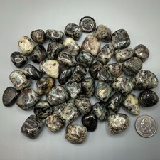 Wholesale Astrophyllite tumbled stones bulk 1lb lot picture