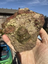 SALE  Uncut 2 Lbs, Thunderegg, Hauser Geode Beds CA picture