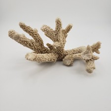 Vintage Natural Coral Tree Shell Genuine Branching Finger 2.5