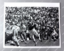 Miami Hurricanes vs Florida Gators Football 1966 Original Press Photo Type 1 picture