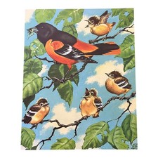 A Baltimore Oriole Family 1942 Jacob Bates Abbott Bird Illustration SV33-5 picture