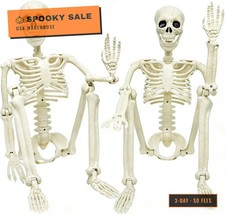 2 Pack 36in Posable Plastic Skeleton Halloween Decor - 3 ft Halloween Decor | Fu picture