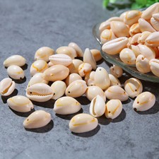 50Pcs DIY Small Bulk Cut Sea Shell White Cowrie Cowry Beads Beach Jewelry Decor picture