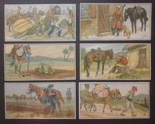 1900 Stollwerck Chocolate Cards Album 4 Group 169 Complete Set of 6 picture