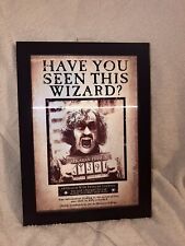 Harry Potter WB Wizarding World Black Lenticular Shifting Framed Wall Art New picture