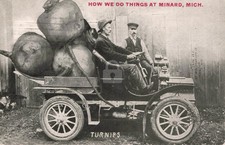 How We Do Things at Minard - Turnips Jackson MI 1912 RPPC Photo Postcard COPY picture