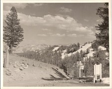 Summit Sonora Pass California Street Signs 1950s org 8x10 Photo 10097 picture