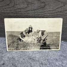1912 Western Canada Ranching Postcard Cowboys Butchering Cattle H. Brown RPPC picture