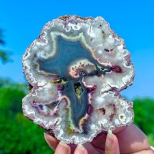 268G Natural Colorful Lace Agate Geode Slice Extra Large Gem From Argentina picture