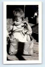 Old Vintage Photo FUNNY HUMOROUS SOLO BOY SITTING IN BASKET SNAPSHOT picture