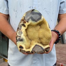 8.29LB Natural Dragon Septarian Stone Quartz Crystal Geode Display Specimen picture