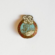 Switzerland Oberland Berndis Vintage Antique Enamel Badge Miniature Brooch picture