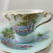 Aynsley Teacup Saucer Yellow Forest Scene Pattern Bone China England picture