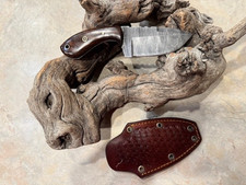 Super Sweet caper / hunting knife Damascus Steel w/Rosewood handle & nice sheath picture
