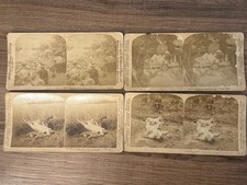 Lot of 4 Antique Philippine-American War Stereoviews Underwood & Underwood picture