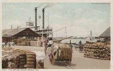 c1909 Mobile AL Busy Cotton Docks Steamboats Cotton Wagon Lumber Phostint PC picture