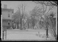 Photo:Savannah Georgia Liberty St 1906 street scene buildings trees picture