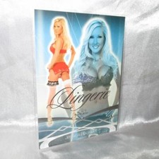 Jessica Rockwell Bench Warmer 2008 Lingerie Foil Insert Card 9 Silver Foil picture