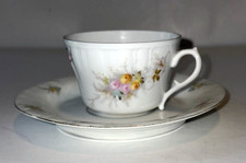 Antique LS&S Carlsbad Austria Porcelain Teacup Saucer Set Floral Victorian picture